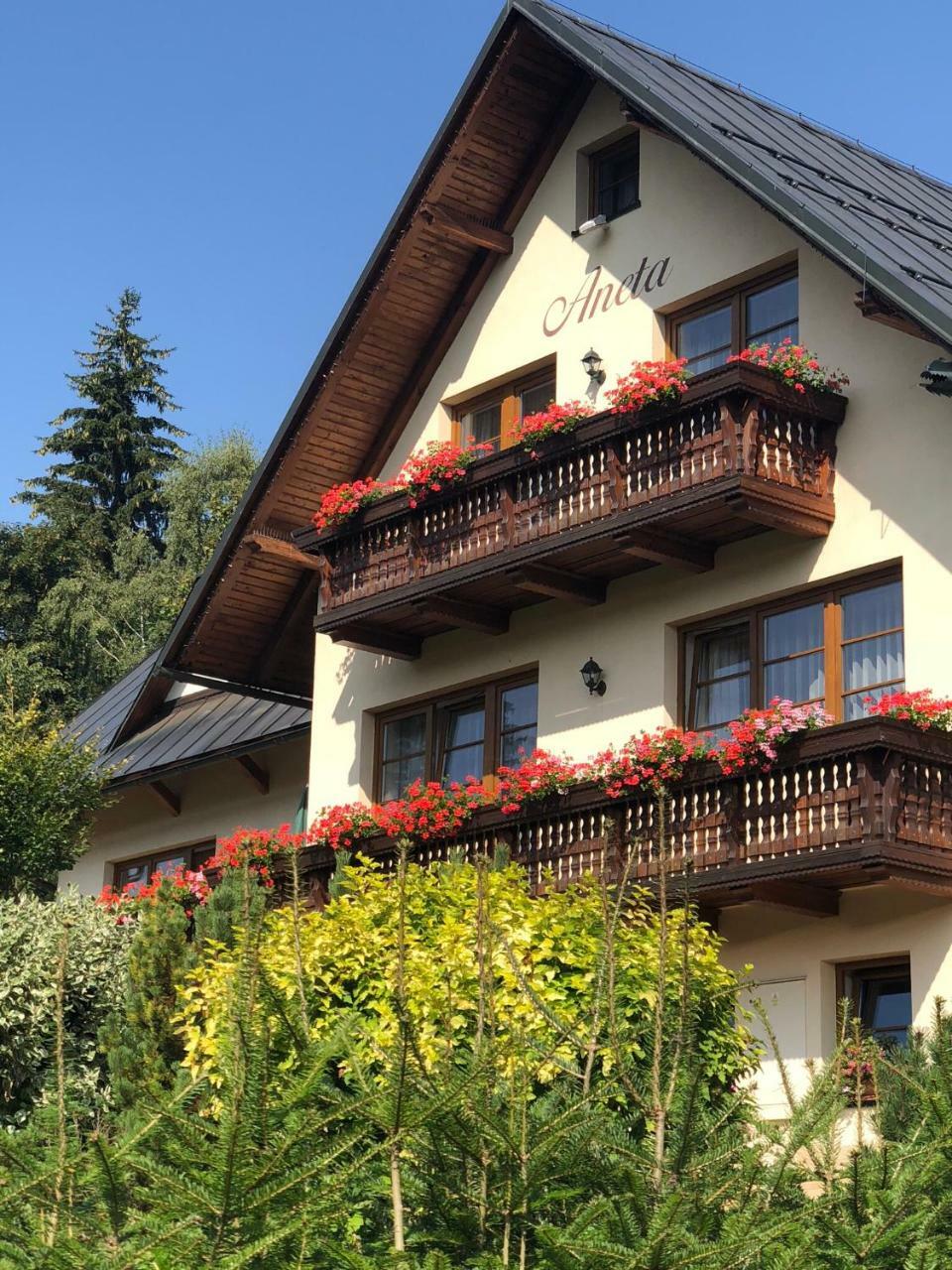 Apartmany Aneta Spindleruv Mlyn Bagian luar foto